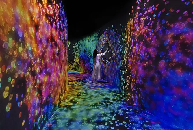 TeamLab Phenomena Abu Dhabi